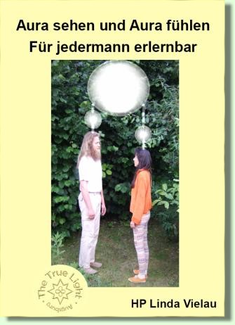Aura- chakra- und Energiearbeit Buch