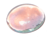 Tachyonenzelle
